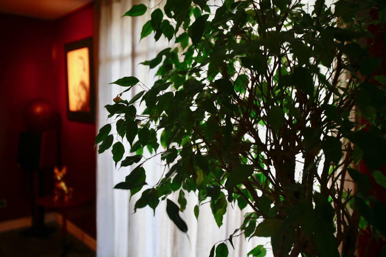 Le Talisman Acomodação com café da manhã Saint-Germain-en-Laye Exterior foto